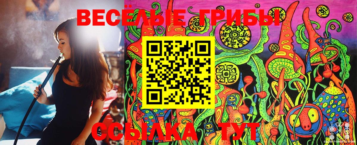 Псилоцибиновые грибы Magic Shrooms  Псилоцибиновые грибы Cubensis  Вход с VPN  Азнакаево 