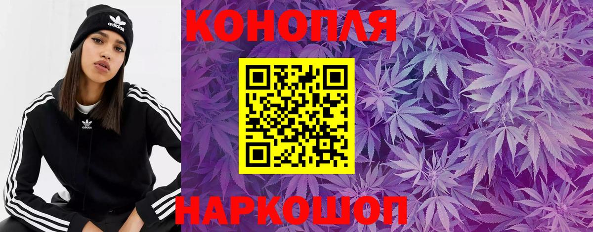 Шишки марихуана план  Вход с VPN  МАРИХУАНА SATIVA & INDICA  Азнакаево  Марихуана сатива 
